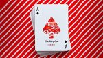 Limited Edition Cardistry con 2018 Playing Cards - Trucos Magia y la Magia - Imagen 2