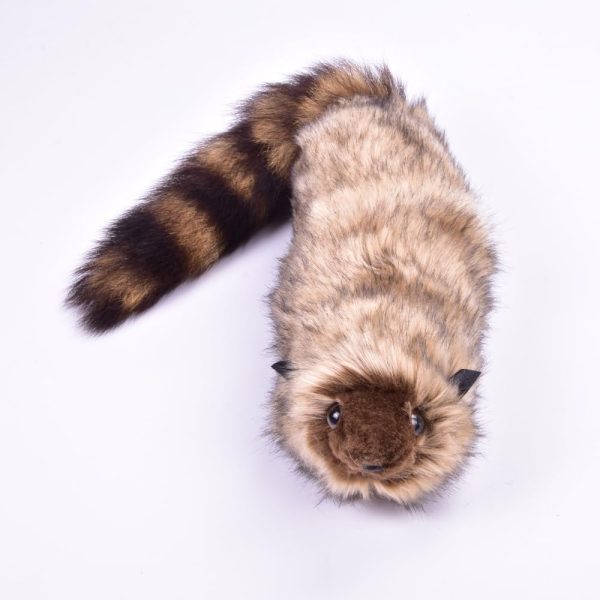MOMOMAGE The Rocky Raccoon Robbie Magic tricks appearing magic animals street scenarios illusions tricks magic fun