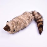 MOMOMAGE The Rocky Raccoon Robbie Magic tricks appearing magic animals street scenarios illusions tricks magic fun - Imagen 2