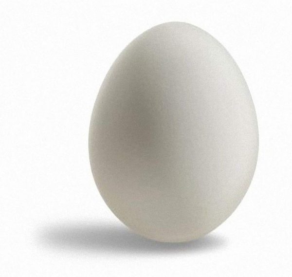 Magic Accessories Rubber Egg White / Rubber Egg White ---- Magic Trick, Party Trick, Magic Trick, Magic Kits