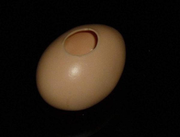 Magic Accessories Super Latex Egg Yellow / Super Latex Egg Brown ---- Magic Trick, Party Trick, Magic Trick, Magic Kits