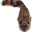 Raccoon Toy Magic Trick for Party Magic Fun Illusion