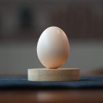 Real Egg (White / Brown) Real Magic Tricks Made of Silk to Egg Routine Magic Props Close-up Street Illusions Tricks Props (White)