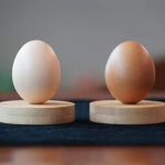 Real Egg (White / Brown) Real Magic Tricks Made of Silk to Egg Routine Magic Props Close-up Street Illusions Tricks Props (White) - Imagen 2