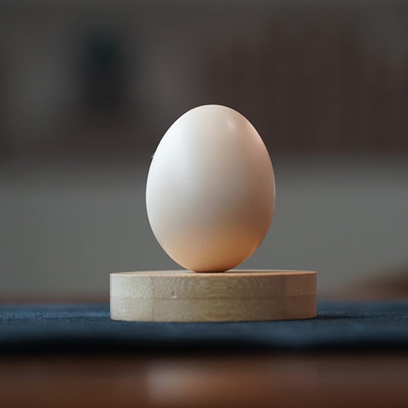 Real Egg (White / Brown) Real Magic Tricks Made of Real Egg (White / Brown) Real Magic Tricks Made of Silk to Egg Routine Magic Props Close-up Street Illusions Tricks Props (White)