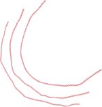 Vaguelly 3piezas Cuerda Mágica para Trucos De Ilusión Cuerdas Trenzadas para Magos Adultos Accesorios Divertidos para Espectáculos De Escenario