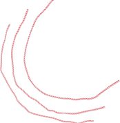 Vaguelly 3piezas Cuerda Mágica para Trucos De Ilusión Cuerdas Trenzadas para Magos Adultos Accesorios Divertidos para Espectáculos De Escenario